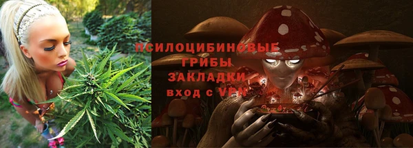 ешки Алзамай