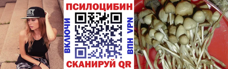 omg ссылки  Ярцево  Псилоцибиновые грибы мицелий 